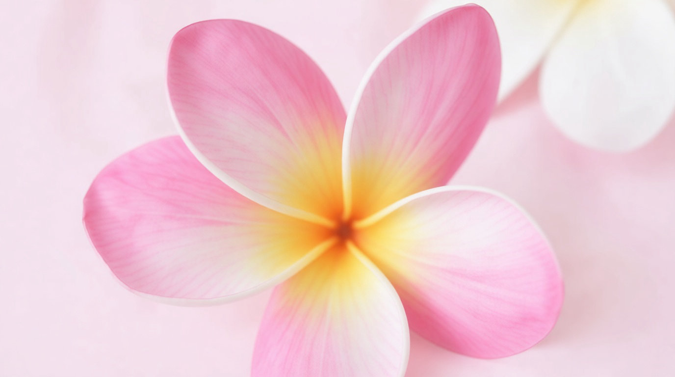 Les bénéfices concrets d'un rééquilibrage sur votre santé globale